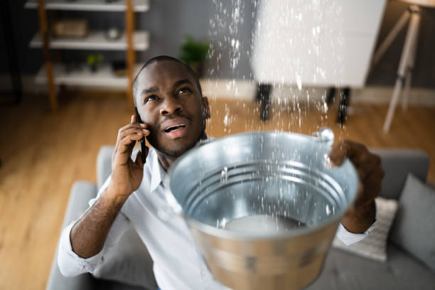 Best Water damage mitigation services  in Pawtucket, RI