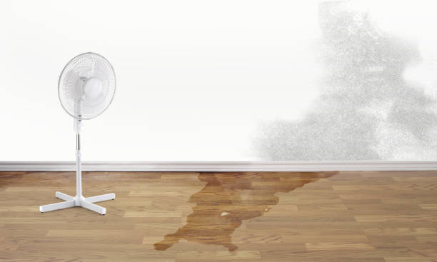 Best Flooded house restoration  in Pawtucket, RI