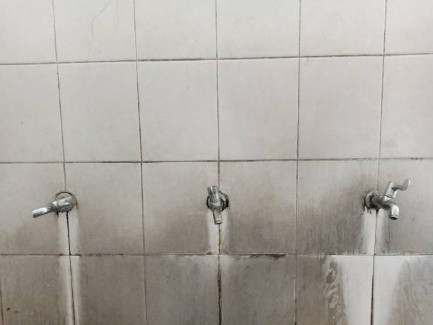 Best Carpet water damage restoration  in Pawtucket, RI